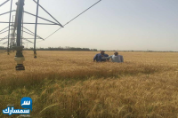 بيع عقارات ومبانى