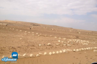 بيع عقارات ومبانى