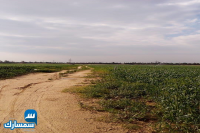 بيع عقارات ومبانى