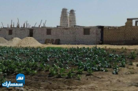 بيع عقارات ومبانى