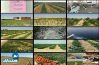 بيع عقارات ومبانى