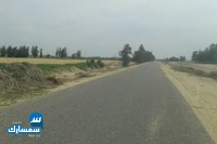 بيع عقارات ومبانى