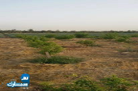 بيع عقارات ومبانى